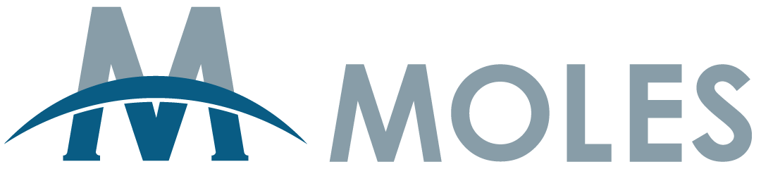 Moles Group srl